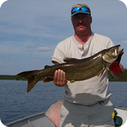 Lake Trout