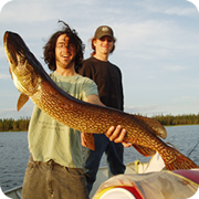 Pike