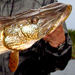 Pike