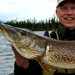 Pike